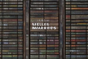 Lecteurs de codes monomarques vs multimarques : Les différences